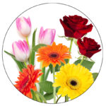 kvetiny-800x800-00-k2 kvetiny-800x800-00-k2