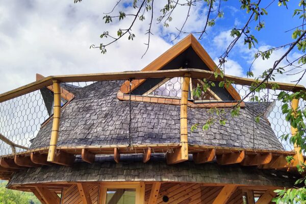 WhatsApp Image 2025-07-19 at 10.29.57