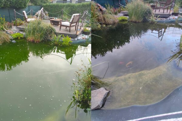 Návrh bez názvu - 1